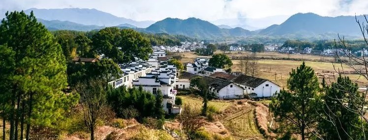 人才强镇：上奉镇如何在党建引领下实现乡村振兴