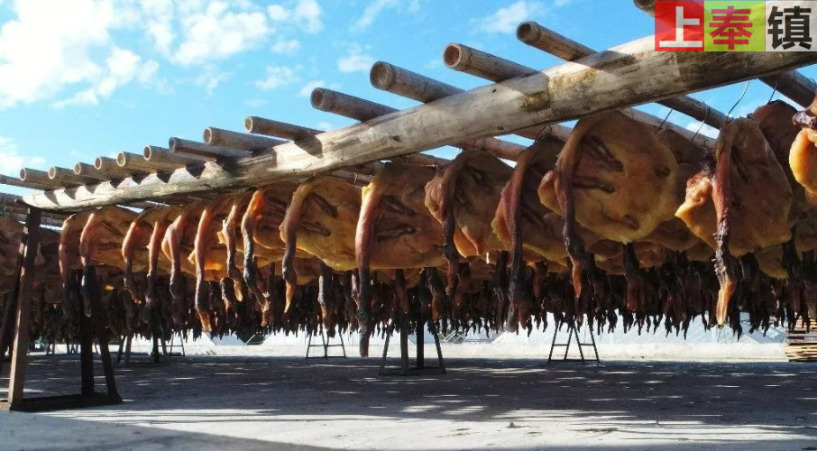 修水县上奉镇特产之上奉板鸭