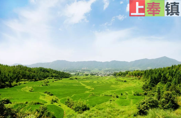 山泉水汇聚，湿地平原成就修水粮仓