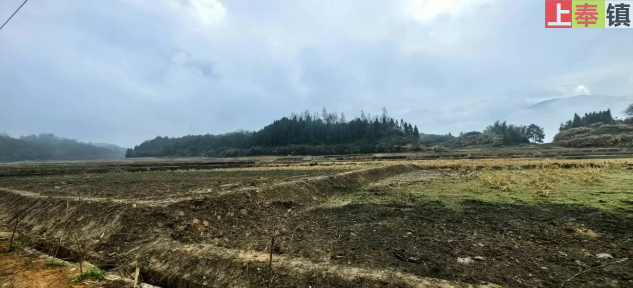 修水县上奉镇观前村三队田土地实拍（2024年1月）
