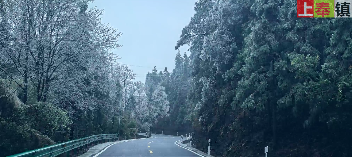 2024年2月5日上奉镇梅山梅岭上行实拍
