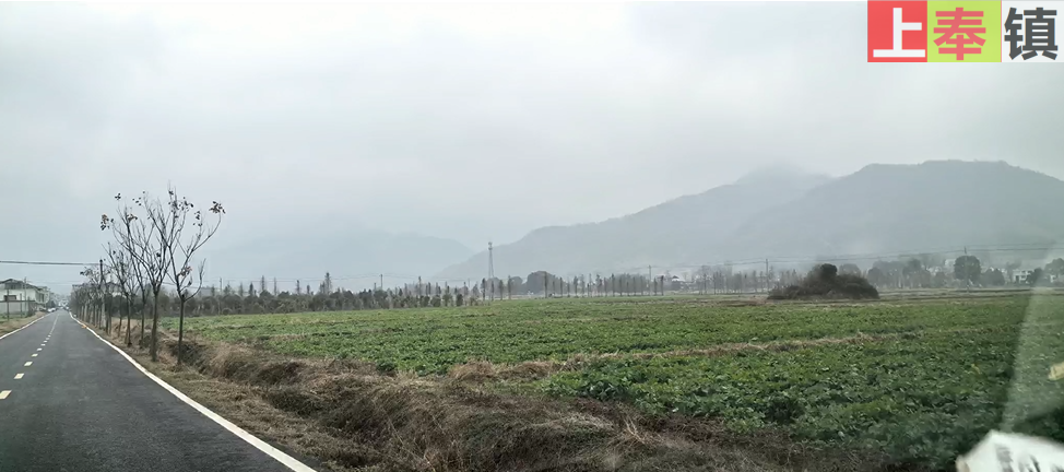 九江修水县上奉镇：倡导文明新风 打造美丽宜居集镇